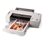 Epson Stylus Color Pro Ink Jet Printer User Setup Information