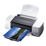 Epson Stylus Photo 1270 Ink Jet Printer Warranty Statement