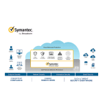 Broadcom Symantec Americas Supplier Shippingline User Guide