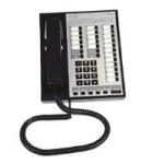 Avaya Merlin BIS 10 Quick Reference Guide