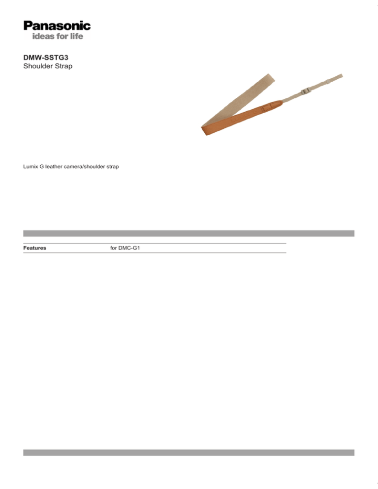 Panasonic DMW-SSTG3E-T Datasheet Panasonic DMW-SSTG3E-T Datasheet