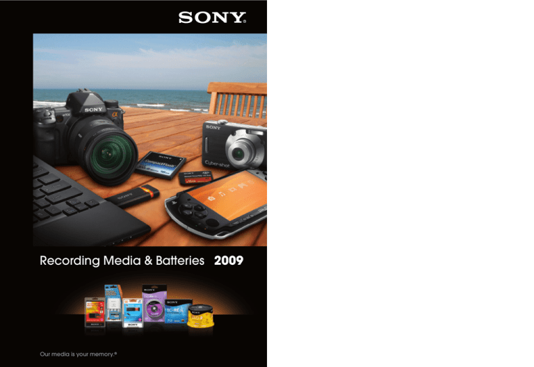 Sony 50BNR25AP6, 15DPR47RS4, 3DPW60DSR2H, DVM60PRRH, MC60R/10, 5CDRW700HRH, 5C90H Datasheet Sony 50BNR25AP6, 15DPR47RS4, 3DPW60DSR2H, DVM60PRRH, MC60R/10, 5CDRW700HRH, 5C90H Datasheet