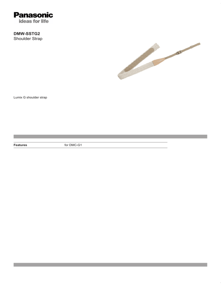 Panasonic DMW-SSTG2 Datasheet Panasonic DMW-SSTG2 Datasheet