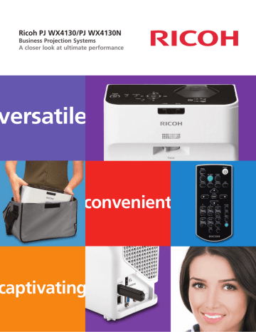Ricoh 981613 Datasheet Ricoh 981613 Datasheet