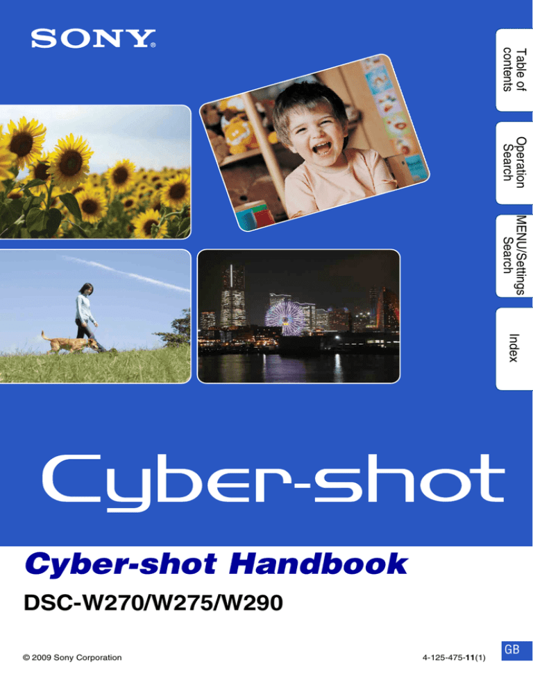 Sony CYBER-SHOT DSC-W275 User manual Sony CYBER-SHOT DSC-W275 User manual