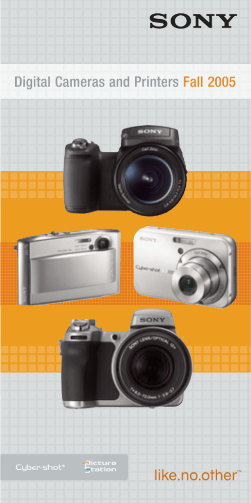 Sony DSC-H1 User guide Sony DSC-H1 User guide