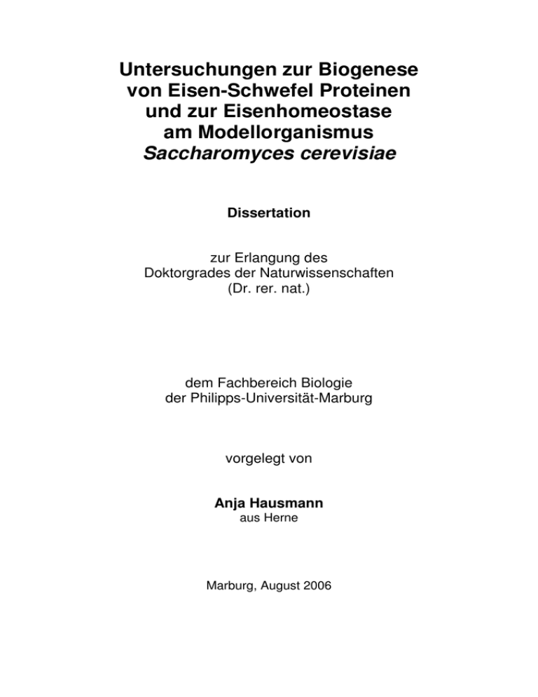 to the PDF file. - Publikationsserver UB Marburg to the PDF file. - Publikationsserver UB Marburg