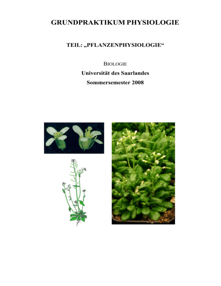 grundpraktikum physiologie teil grundpraktikum physiologie teil