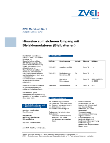 Hinweise zum sicheren Umgang mit Bleiakkumulatoren (Bleibatterien) Hinweise zum sicheren Umgang mit Bleiakkumulatoren (Bleibatterien)