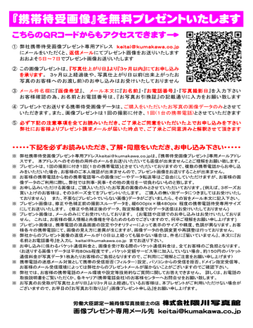 『携帯待受画像』を無料プレゼントいたします 『携帯待受画像』を無料プレゼントいたします