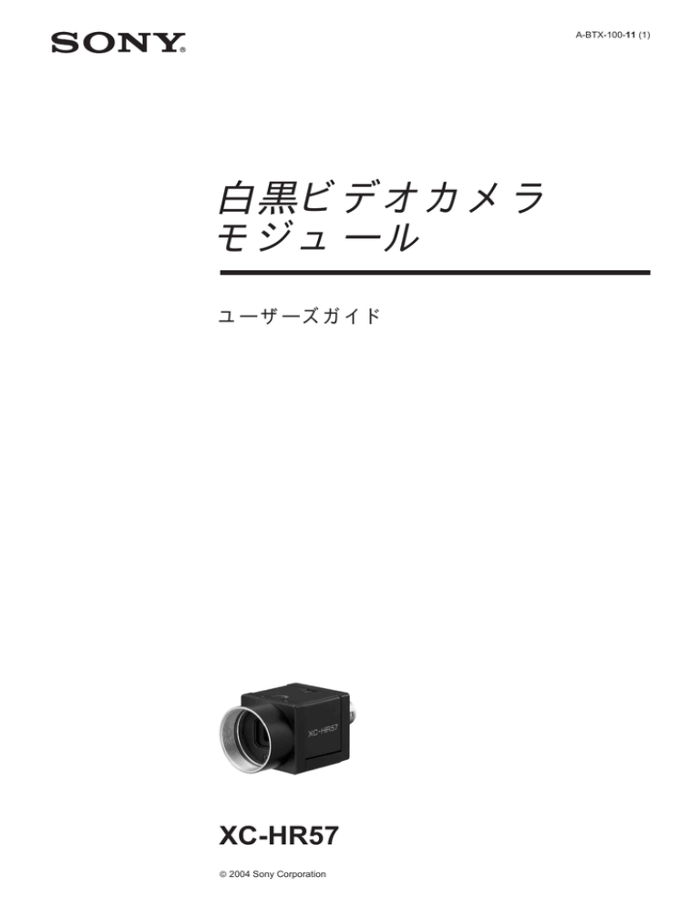 白黒ビデオカメラ モジュール 白黒ビデオカメラ モジュール