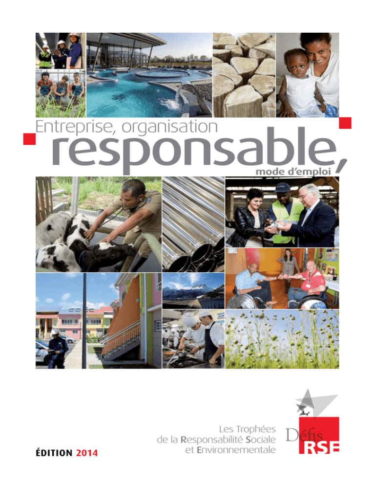 Cahier Entreprise responsable, mode d`emploi - Defis Cahier Entreprise responsable, mode d`emploi - Defis