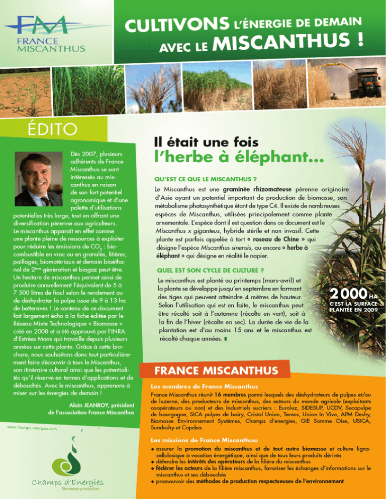 Fiche technique miscanthus Fiche technique miscanthus
