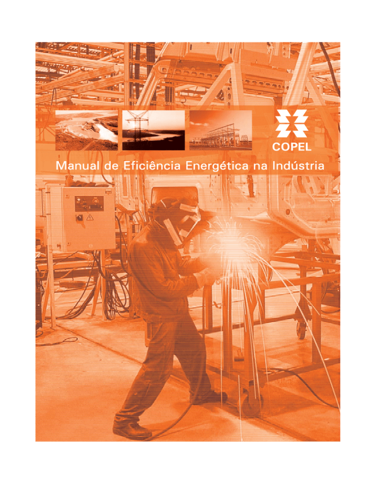 Manual de Eficiência Energética na Indústria Manual de Eficiência Energética na Indústria