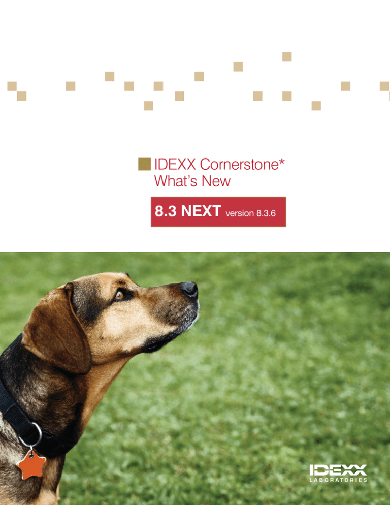 What`s New in Cornerstone 8.3 NEXT What`s New in Cornerstone 8.3 NEXT