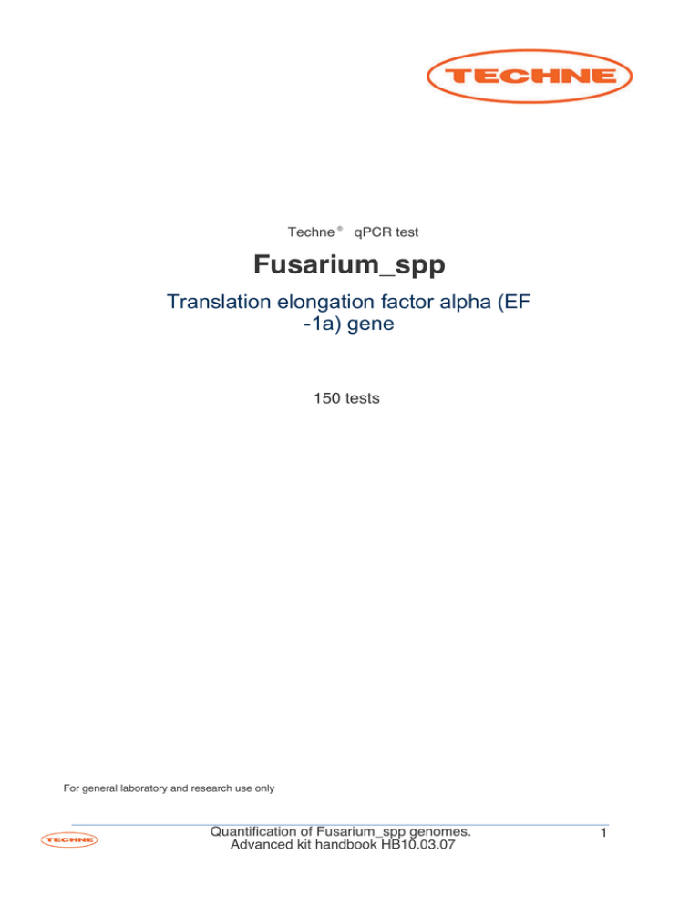 fusarium spp fusarium spp
