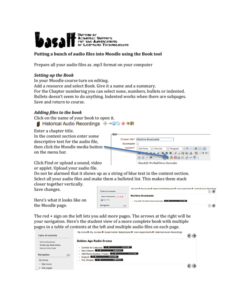 audio in book audio in book