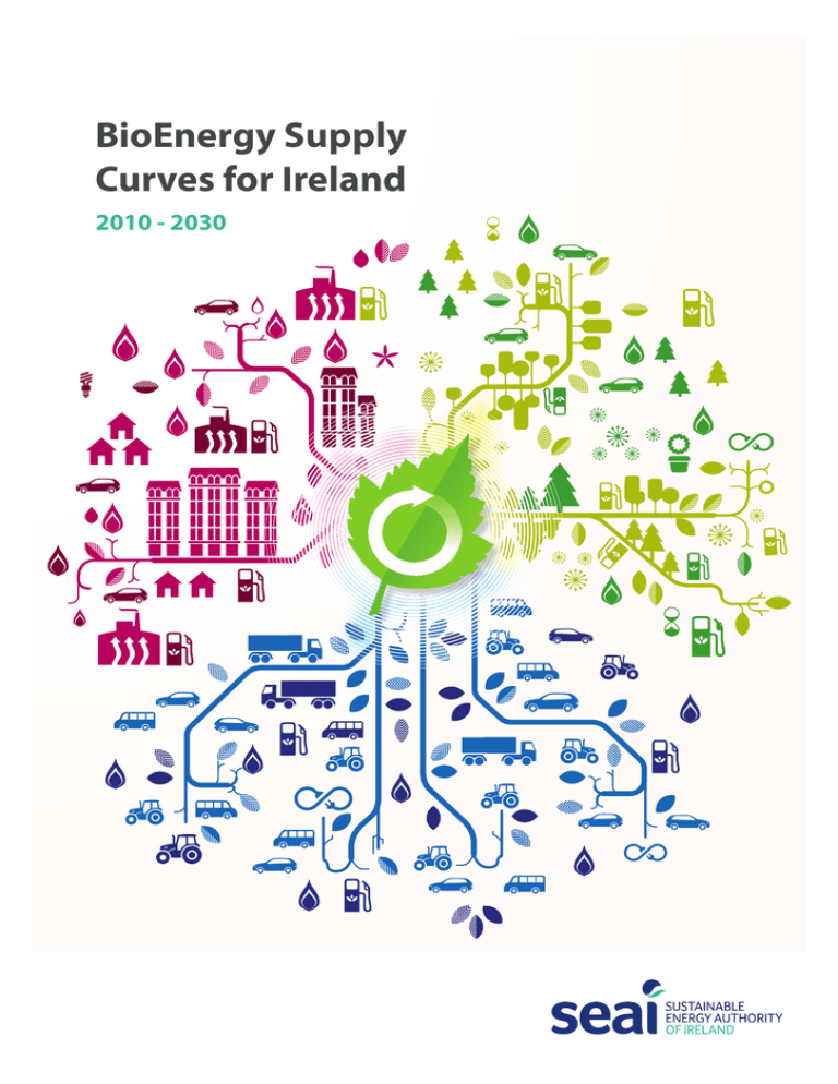 BioEnergy Supply Curves for Ireland 2010 BioEnergy Supply Curves for Ireland 2010