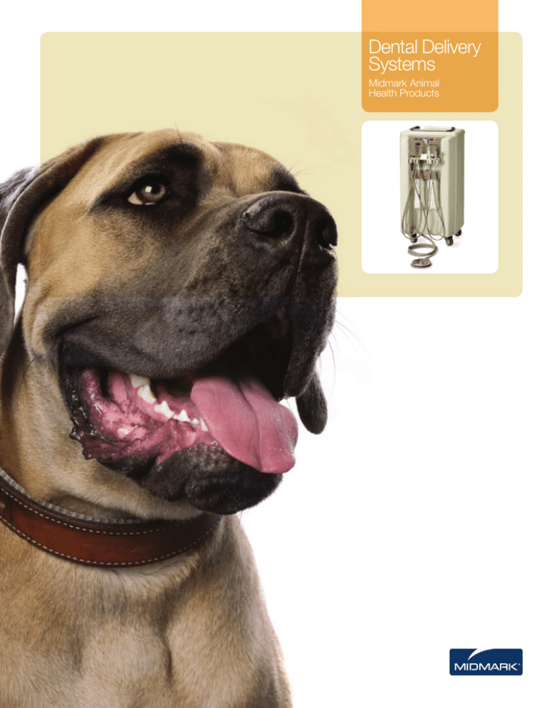 Brochure: VetPro 5000 Dental Delivery System Brochure: VetPro 5000 Dental Delivery System