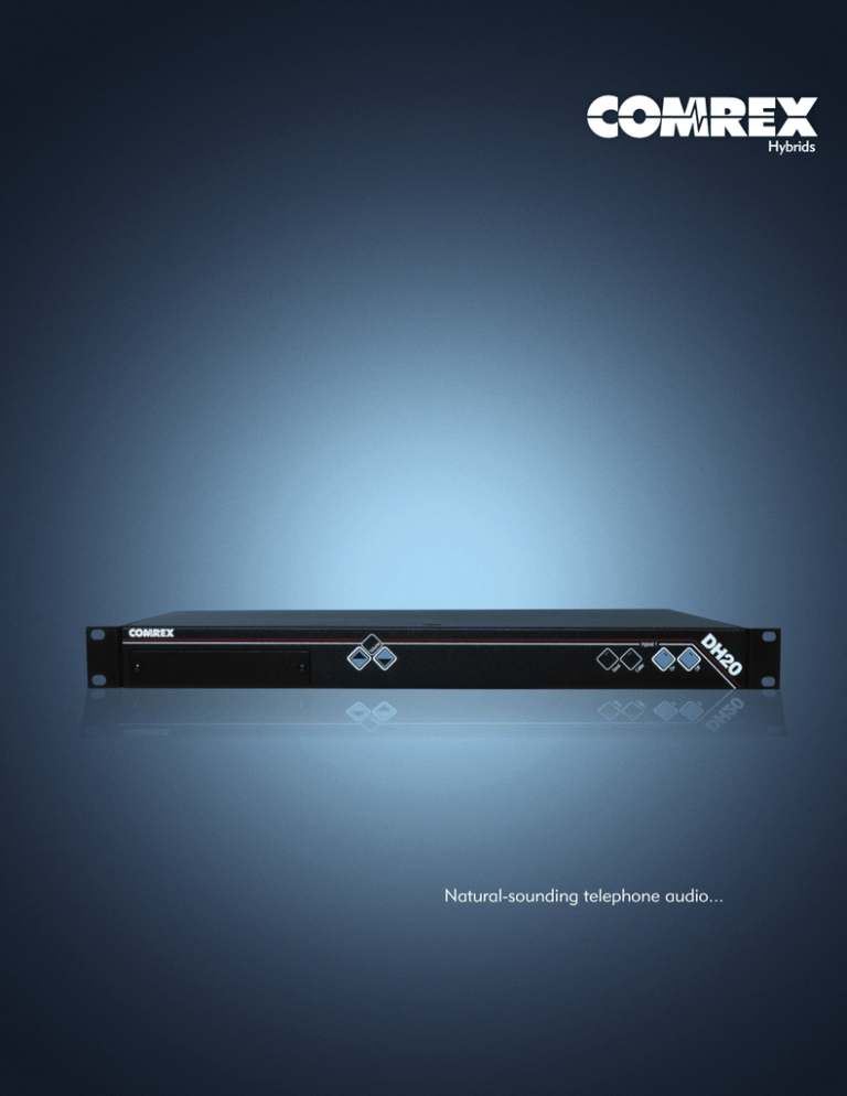 Digital Hybrids Brochure Digital Hybrids Brochure