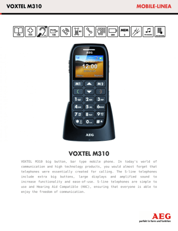 Datasheet Voxtel M310 Datasheet Voxtel M310