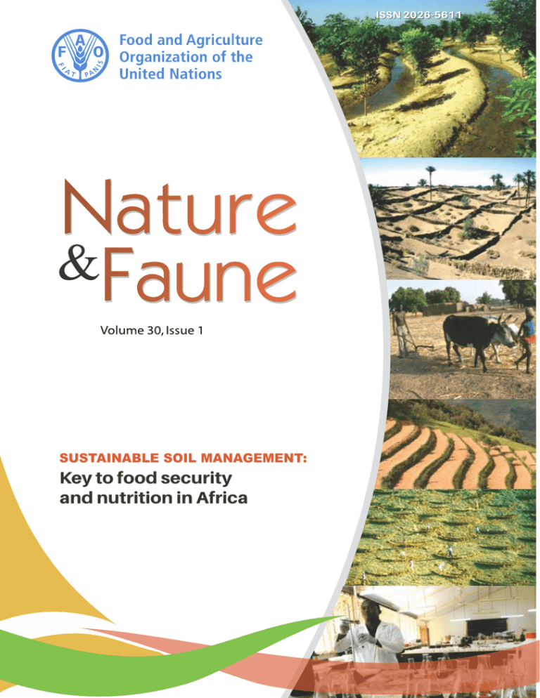 Key to food security and nutrition in Africa SUSTAINABLE SOIL MANAGEMENT: ISSN 2026-5611 Key to food security and nutrition in Africa SUSTAINABLE SOIL MANAGEMENT: ISSN 2026-5611