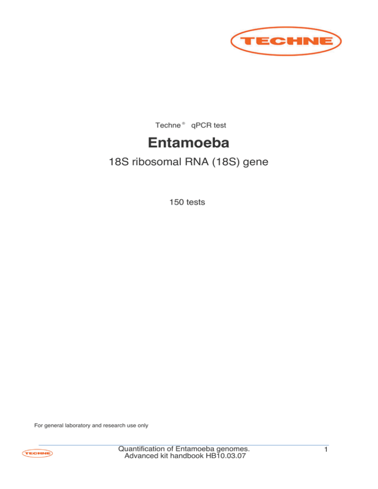 entamoeba entamoeba