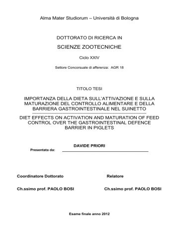 Priori Davide tesi Priori Davide tesi