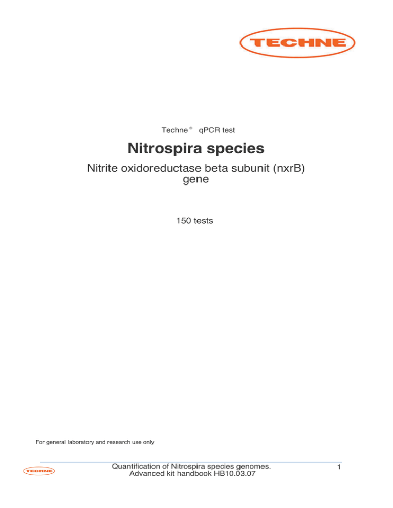 nitrospira spp nitrospira spp