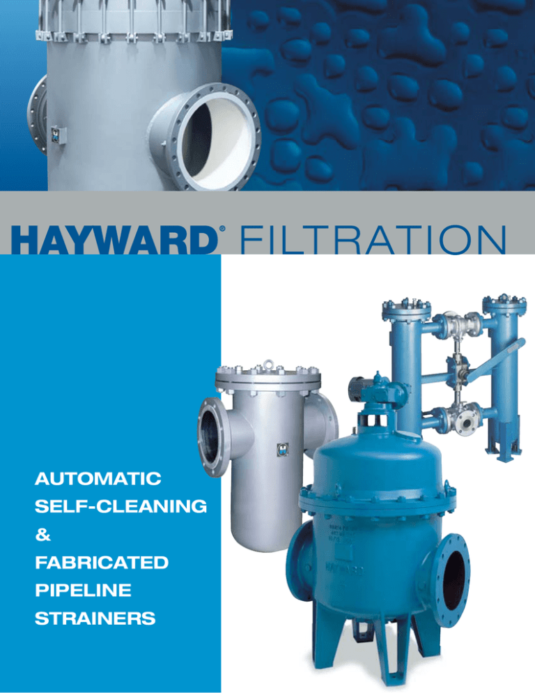 31746_Hayward Filtration 31746_Hayward Filtration
