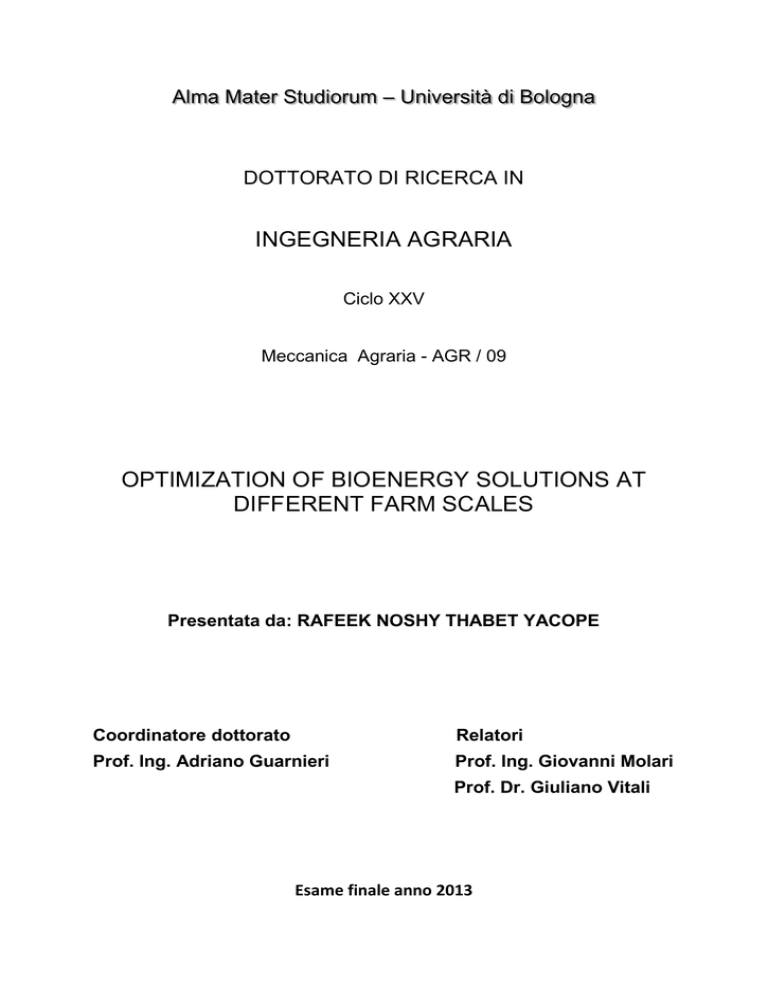 INGEGNERIA AGRARIA OPTIMIZATION OF BIOENERGY SOLUTIONS AT DIFFERENT FARM SCALES INGEGNERIA AGRARIA OPTIMIZATION OF BIOENERGY SOLUTIONS AT DIFFERENT FARM SCALES