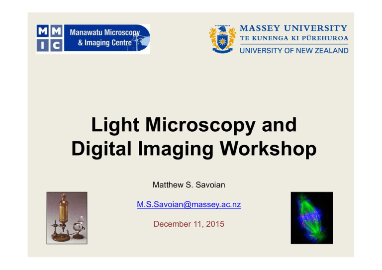 MMICWorkshopDec112015 MMICWorkshopDec112015