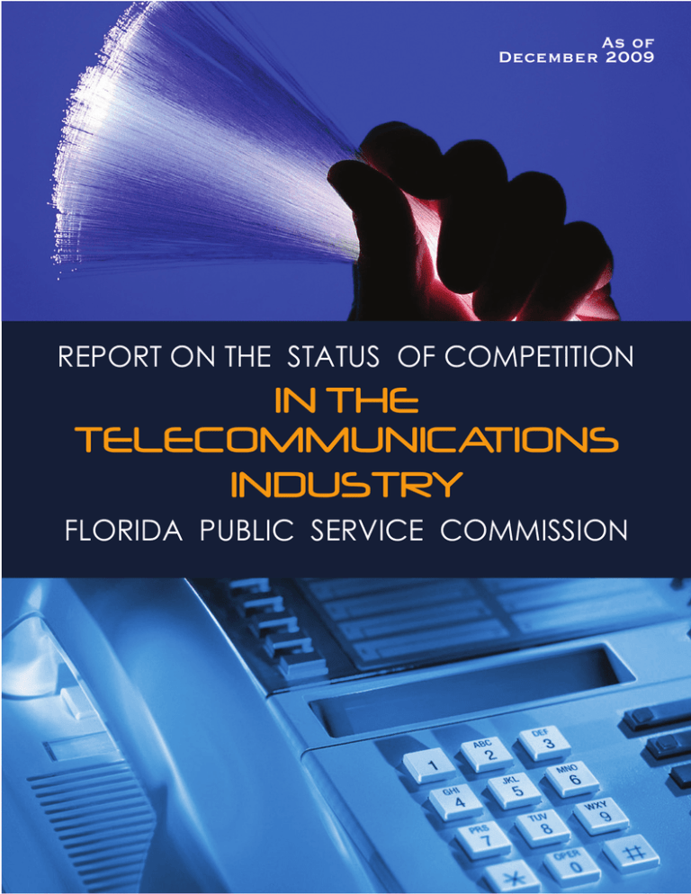 IN THE TELECOMMUNICATIONS INDUSTRY REPORT ON THE STATUS OF COMPETITION IN THE TELECOMMUNICATIONS INDUSTRY REPORT ON THE STATUS OF COMPETITION