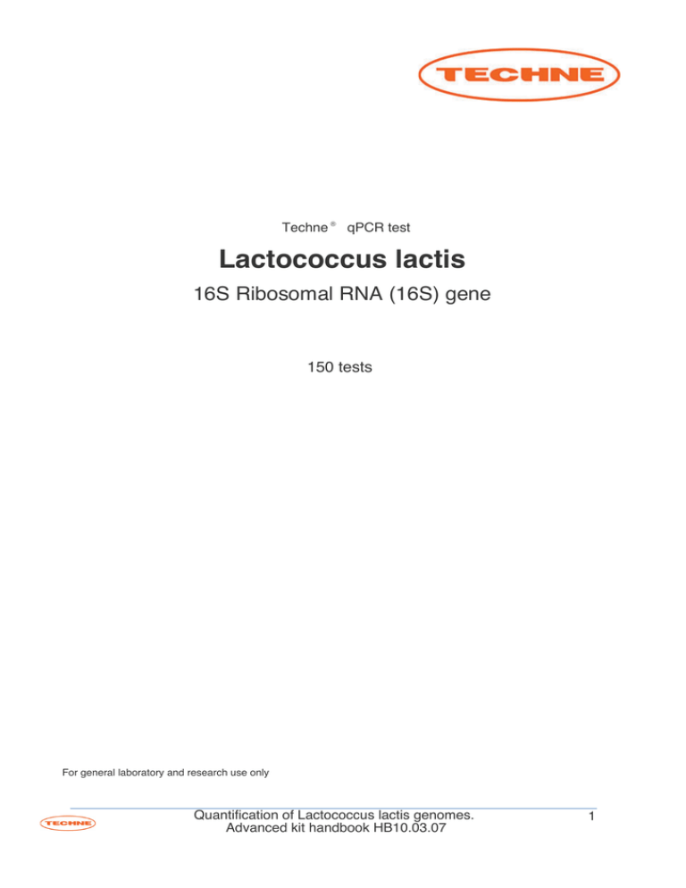 l lactis l lactis