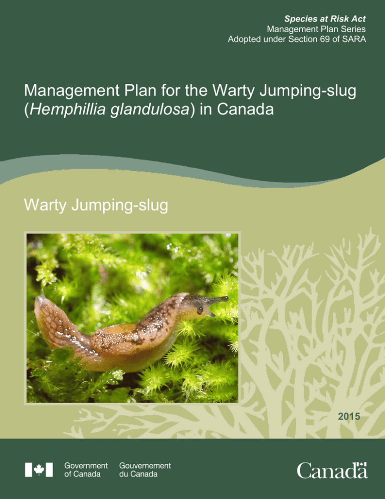 Management Plan for the Warty Jumping-slug Hemphillia glandulosa Warty Jumping-slug Management Plan for the Warty Jumping-slug Hemphillia glandulosa Warty Jumping-slug
