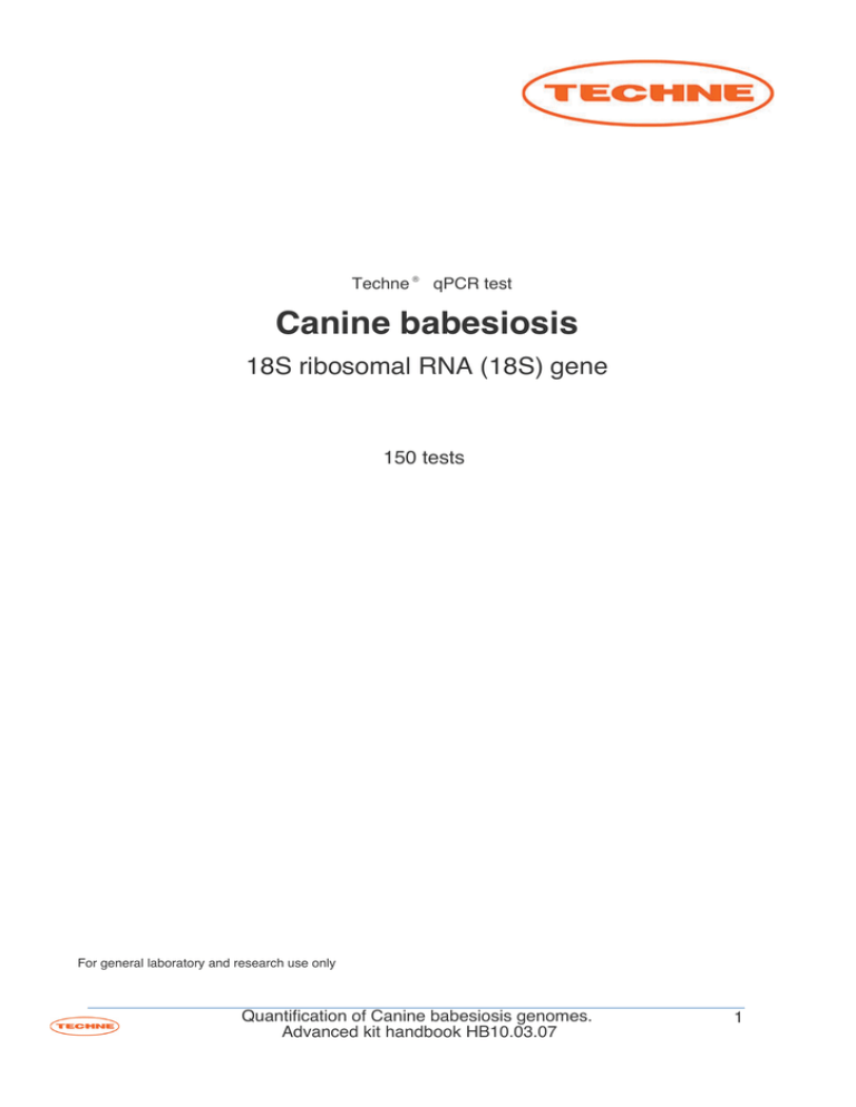 c babesiosis c babesiosis