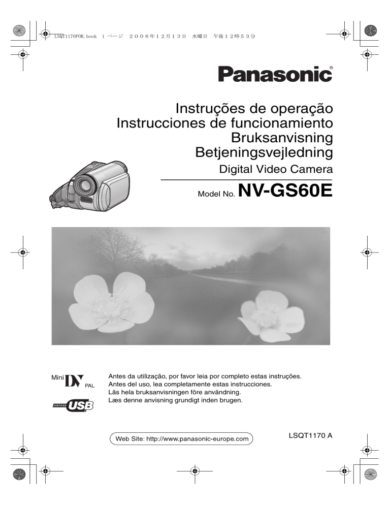 Panasonic NV GS60 E, NVGS60E User manual Panasonic NV GS60 E, NVGS60E User manual