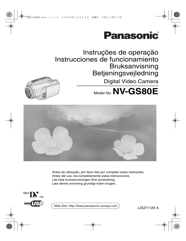 Panasonic NVGS80E, NV GS80 E User manual Panasonic NVGS80E, NV GS80 E User manual