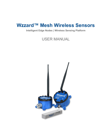 B+B SmartWorx Wzzard WSD2C21150, Wzzard WSD2C31010 User Manual | Manualzz B+B SmartWorx Wzzard WSD2C21150, Wzzard WSD2C31010 User Manual | Manualzz