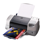 Epson 875DCS Printer Operating And Maintenance Instructions