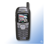 Sanyo RL-4930 Sprint Guide