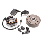 Vittorazi Motors Easy100 User Manual | AI Chat &amp; PDF Access