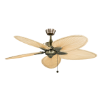 Fanimation FP7500RS Windpointe 52 in. Rust Ceiling Fan Owner&rsquo;s Manual