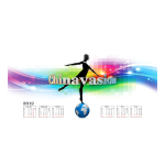 Chinavision CVSE-DV92 User manual