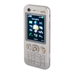 Sony GSM Phone W890I 78g Brown Datasheet