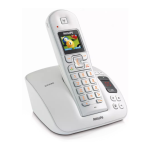 Philips CD5353S/05 Cordless phone answer machine Product Datasheet
