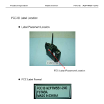 Futaba AZPTMSS1-24G RadioControl Transmitter User Manual