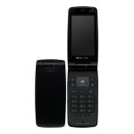 Sony W53S 取扱説明書