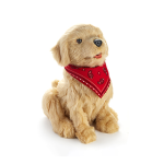Ageless Innovation Companion Pets Manual