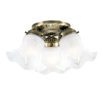 Westinghouse 6668600 Three-Light Indoor Flush-Mount Ceiling Fixture 6668600 Owner's Manual